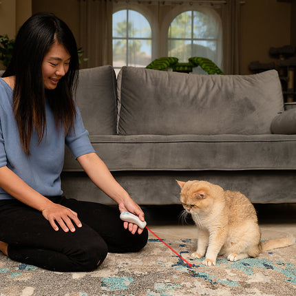 Nala Fit Kitty Laser Pointer