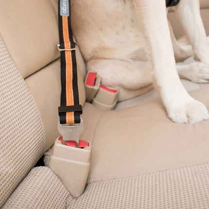 Kurgo Seatbelt Tether