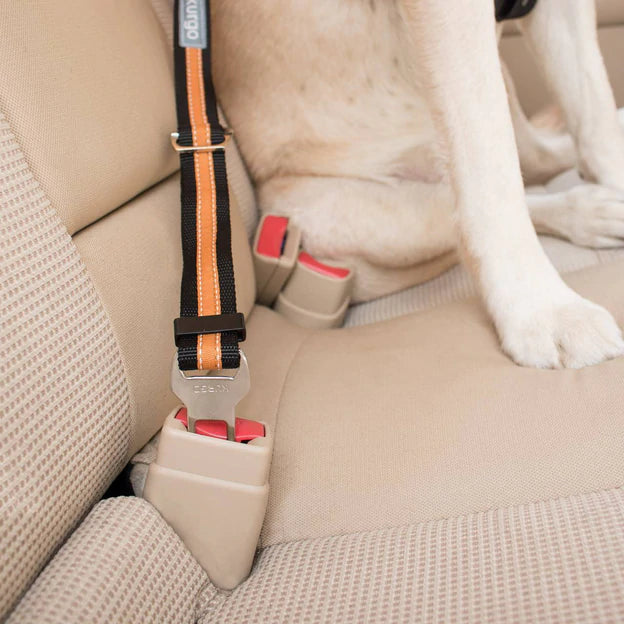 Kurgo Seatbelt Tether