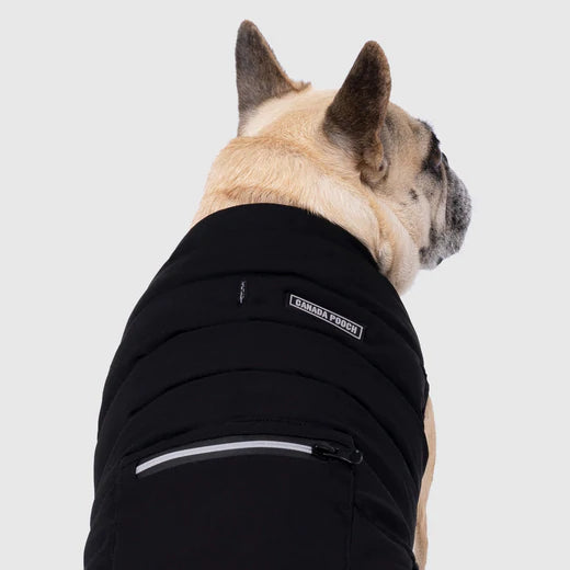 Canada Pooch Ultimate Summit Stretch vest black