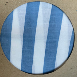 The Paws Bandana - Cabana blue stripes