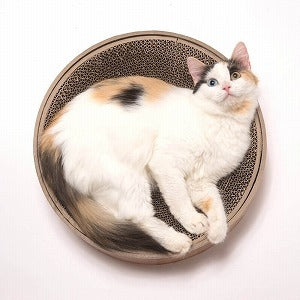Necoichi Cozy Cat Scratcher Bed