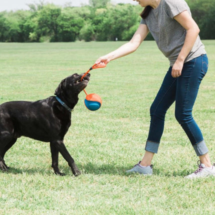 ChuckIt! Rope Fetch