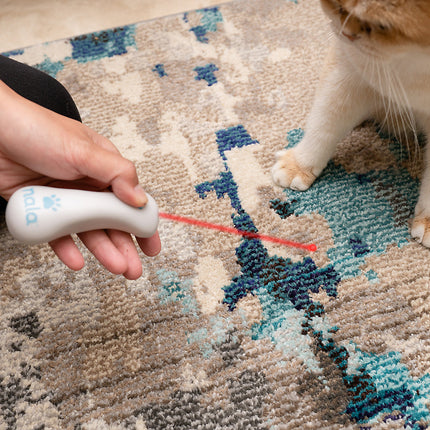 Nala Fit Kitty Laser Pointer