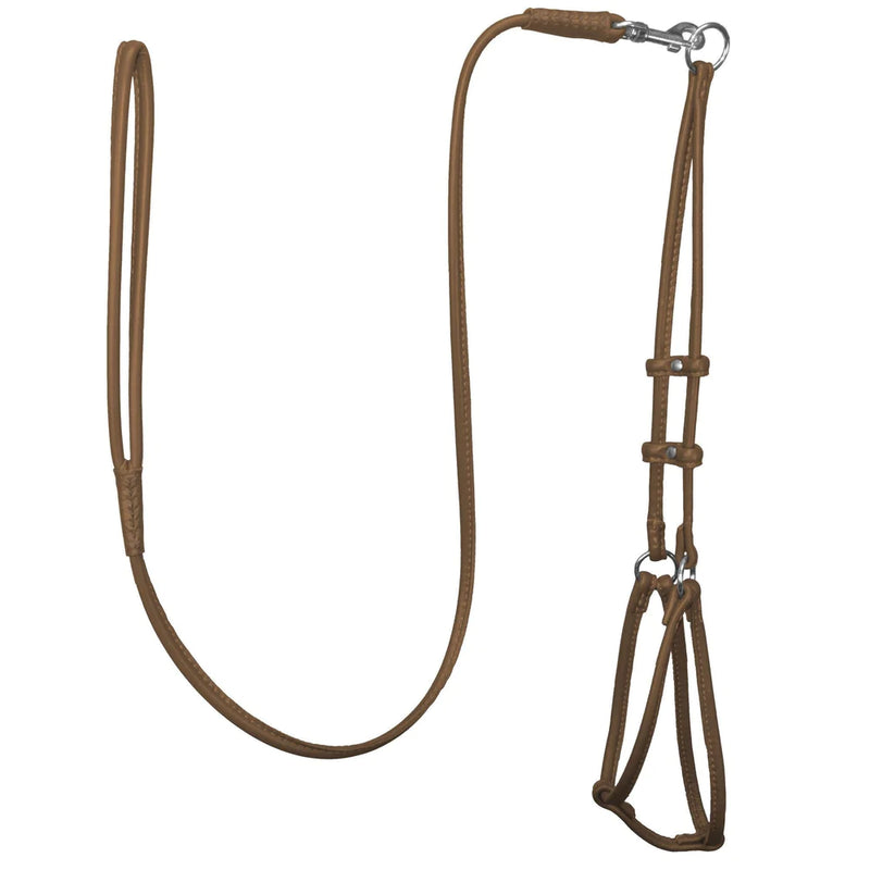 DogLine Round Step-In Harness With Leash Combo Brown
