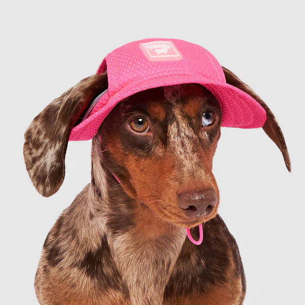 Canada Pooch Chill Seeker Cooling Hat - Neon Pink
