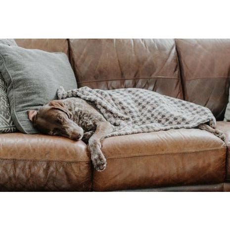 Tall Tails Fleece Blanket Houndstooth 30x40