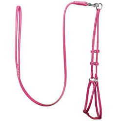 DogLine Round Step-In Harness With Leash Combo Pink