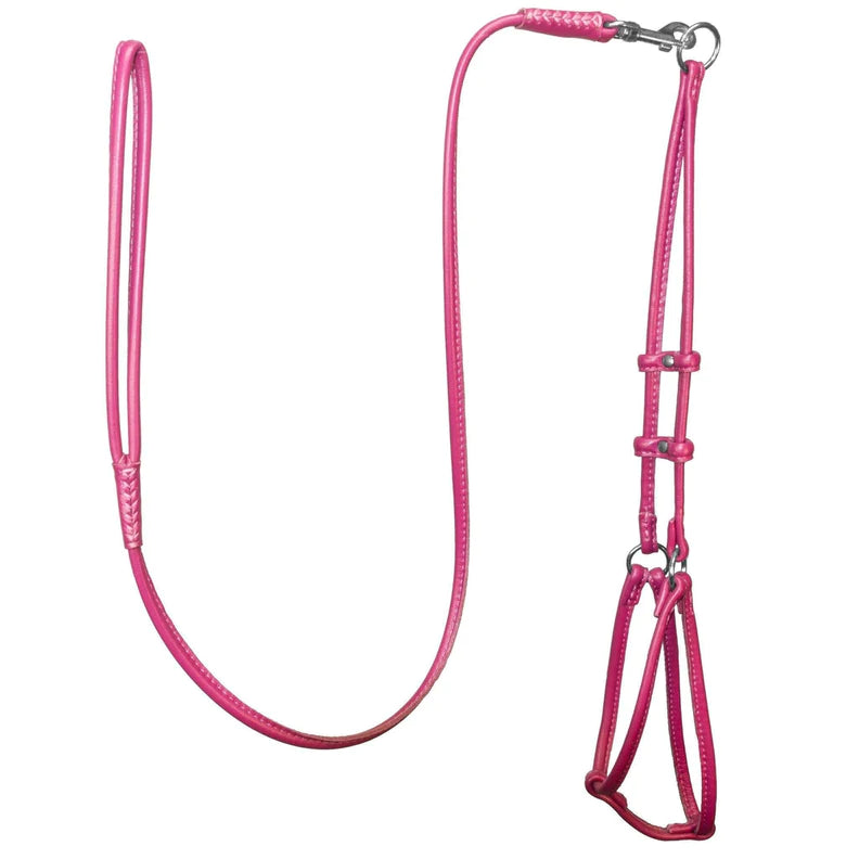 DogLine Round Step-In Harness With Leash Combo Pink