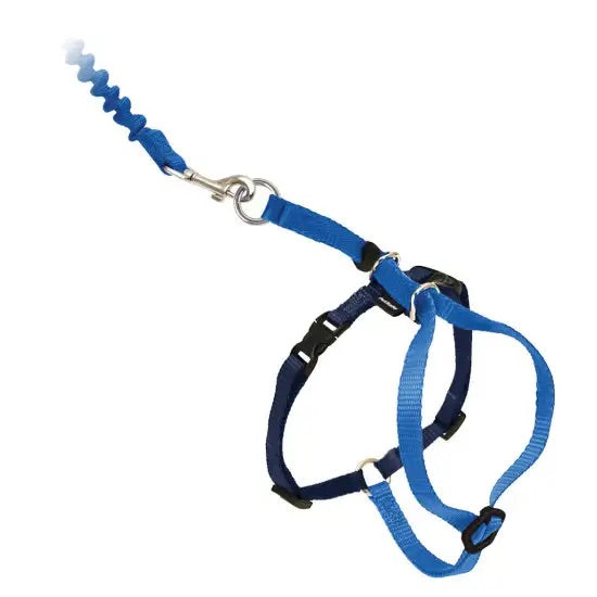 Petsafe Come With Me Kitty Harness Royal Blue/Navy