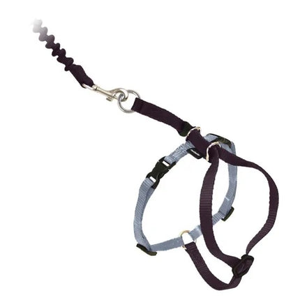 Petsafe Come With Me Kitty Harness Black/Silver