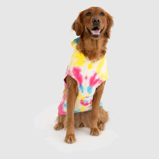 Canada Pooch No Authority Hoodie Tie Dye