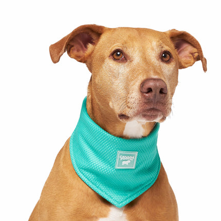 Canada Pooch Cooling Bandana Wet Reveal green