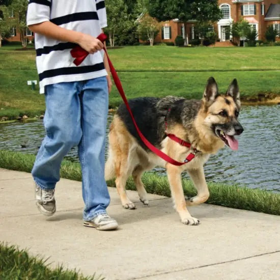 Petsafe Easy Walk Harness - Red/Black