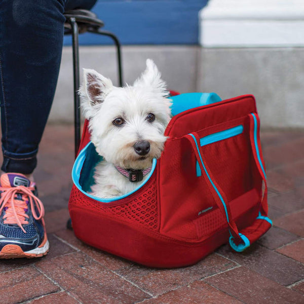 Kurgo Explorer Dog Carrier Red