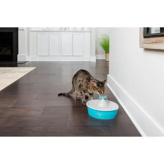Petsafe Butterfly Pet Fountain