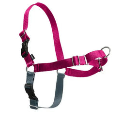 Petsafe Easy Walk harness - Raspberry