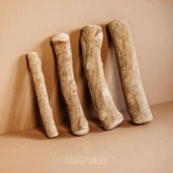 Canophera Natural wood chew stick