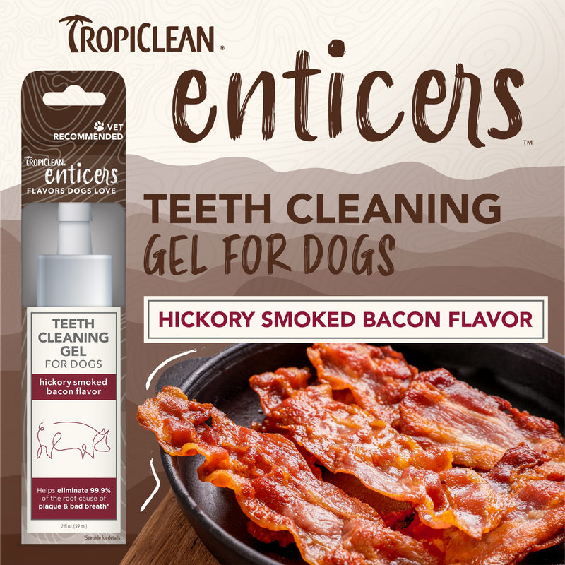 Tropiclean Teeth Cleaning Gel For Dogs - Bacon Flavored