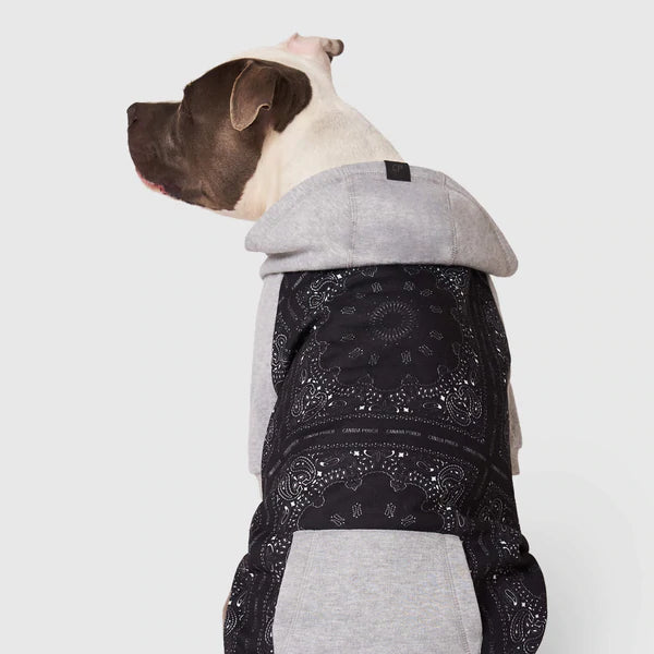 Canada Pooch whatever the weather banada paisley hoodie