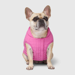 Canada Pooch Ultimate Summit Stretch vest pink