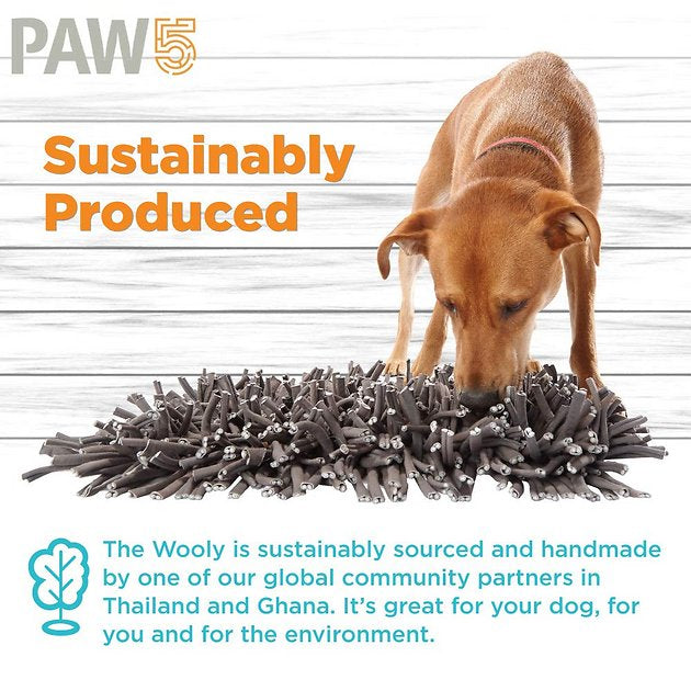 Paw5 Wooly Snuffle Mat