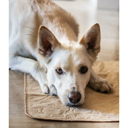 Tall Tails Waterproof Pad