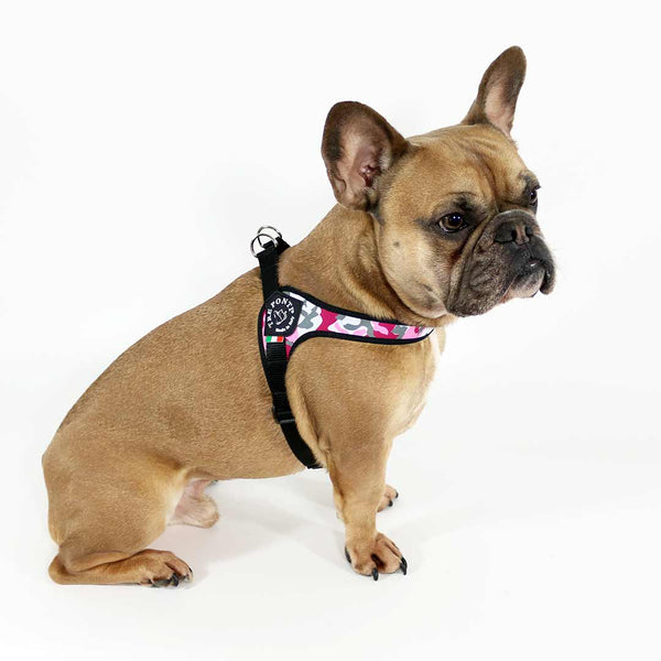 Tre Ponti Adjustable Belly Harness Pink Camo
