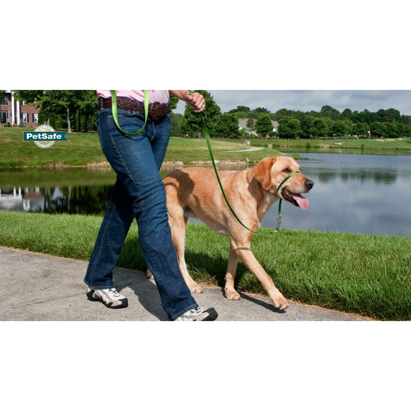 Petsafe Gentle Leader