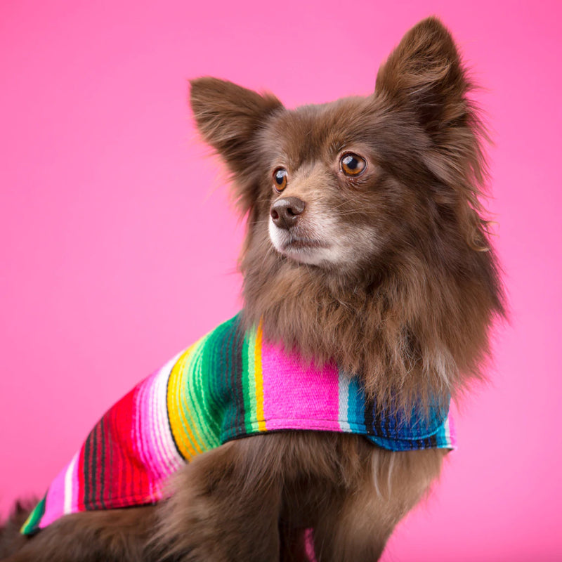 Baja Ponchos - Pink Dog Poncho From Mexican Serape Blanket