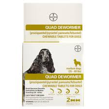 Bayer Quad Dewormer