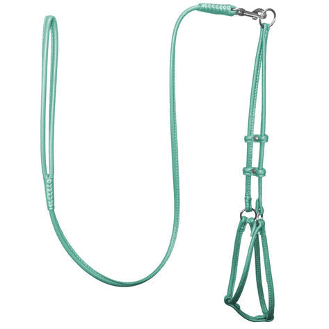 DogLine Round Step-In Harness With Leash Combo Teal