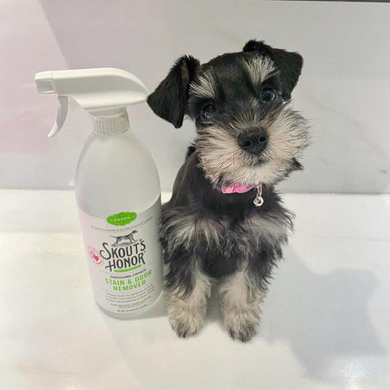 Skout's Honor Dog Stain & Odor Destroyer 35oz