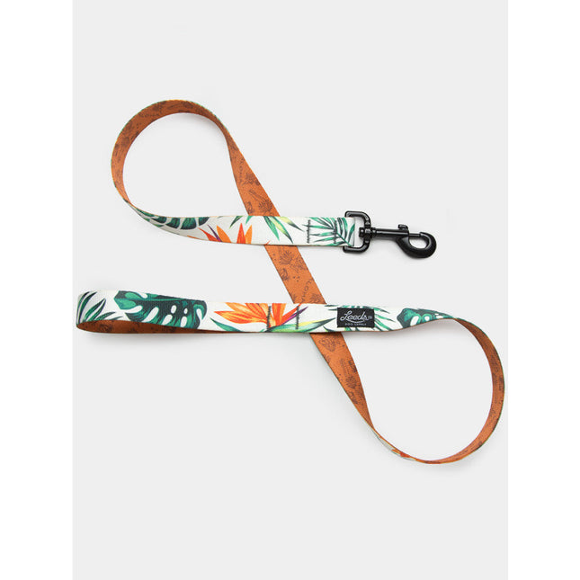 Leeds Dog Leash - Tropicana