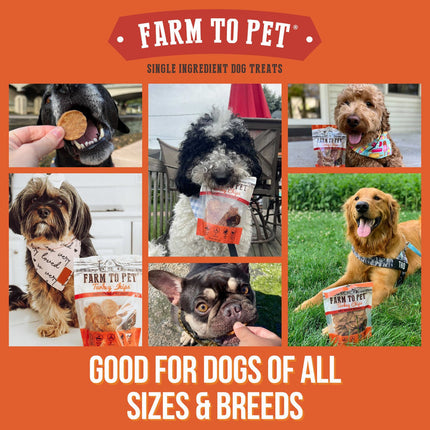 Farm to Pet Turkey Chips