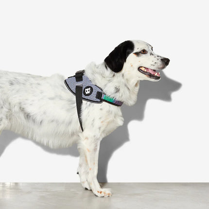 ZeeDog FlyHarness - Urban