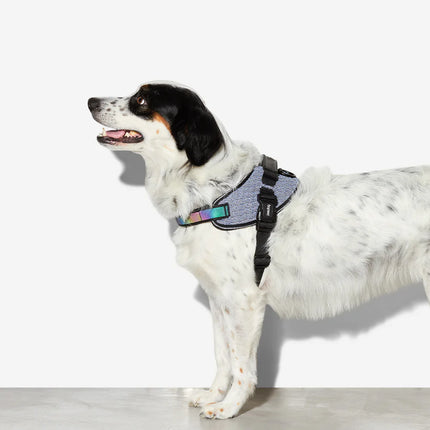 ZeeDog FlyHarness - Urban
