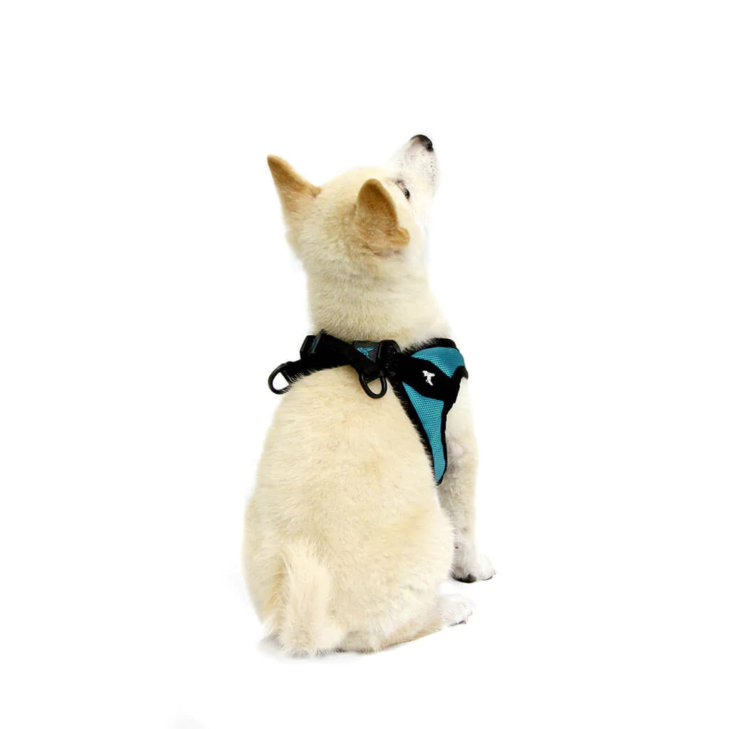 Gooby easy fit harness small clearance