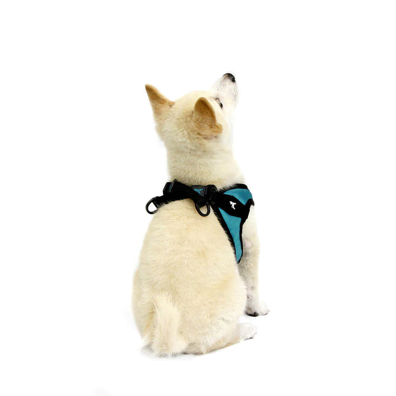 Gooby Easy Fit Harness Turquoise