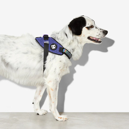 ZeeDog FlyHarness - Wicked