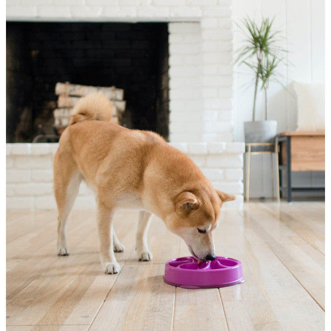 Outward Hound Fun Feeder Purple