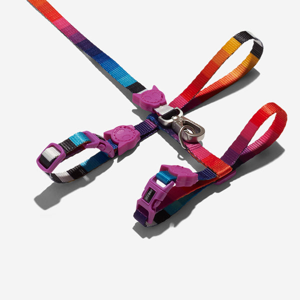 ZeeCat Harness with Leash - Prisma